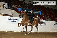 bky_05__2215 proof
