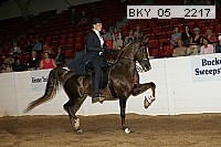 bky_05__2217 proof
