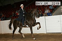 bky_05__2219 proof