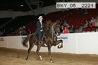 bky_05__2221 proof