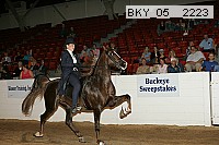 bky_05__2223 proof