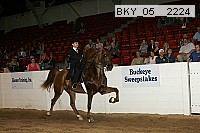 bky_05__2224 proof