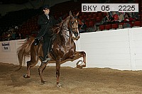 bky_05__2225 proof