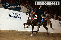 bky_05__2229 proof