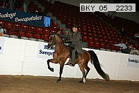 bky_05__2233 proof