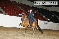 bky_05__2234 proof