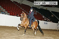 bky_05__2236 proof