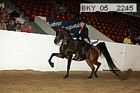 bky_05__2245 proof