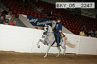 bky_05__2247 proof