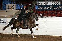 bky_05__2255 proof