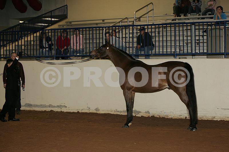 Proof fc_05_032