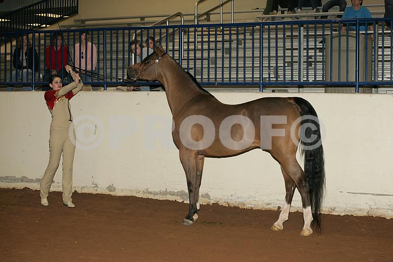 Proof fc_05_035