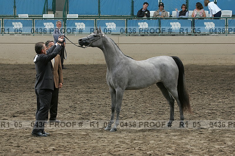 Proof r1_05__0436