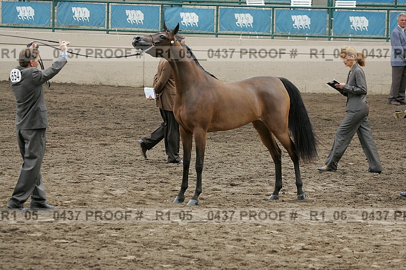 Proof r1_05__0437