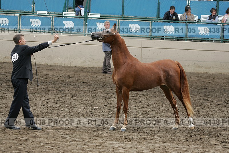 Proof r1_05__0438