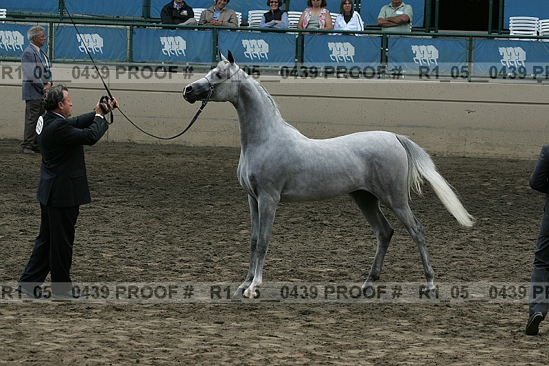 Proof r1_05__0439