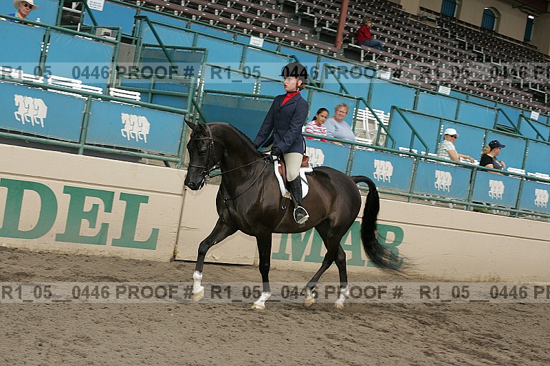 Proof r1_05__0446
