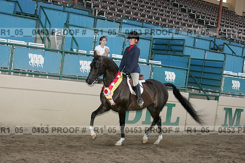 Proof r1_05__0453