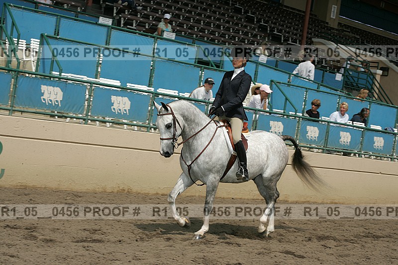 Proof r1_05__0456