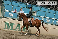 r1_05__0462 proof