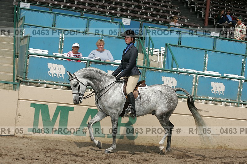 Proof r1_05__0463