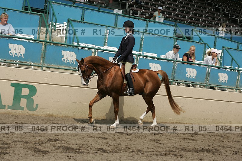 Proof r1_05__0464
