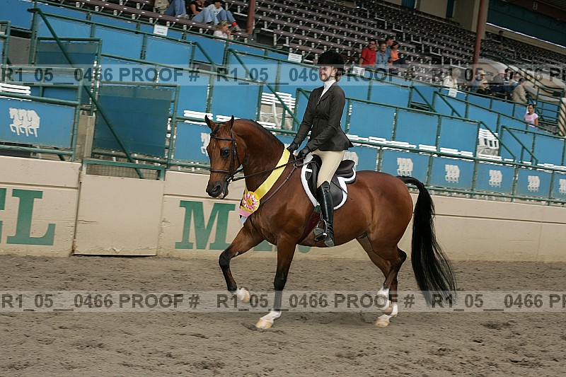 Proof r1_05__0466