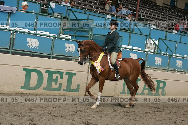 Proof r1_05__0467