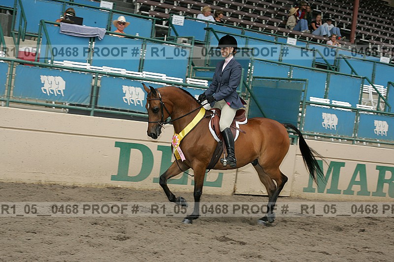 Proof r1_05__0468