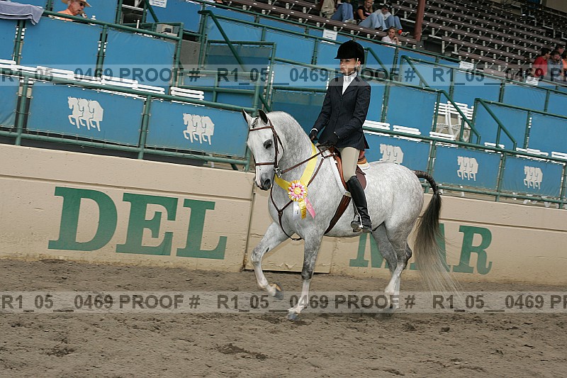 Proof r1_05__0469