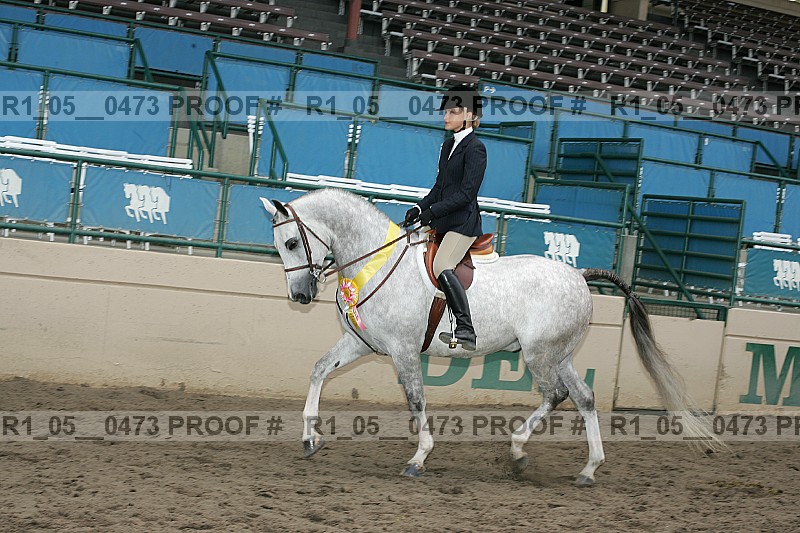 Proof r1_05__0473