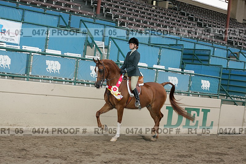 Proof r1_05__0474
