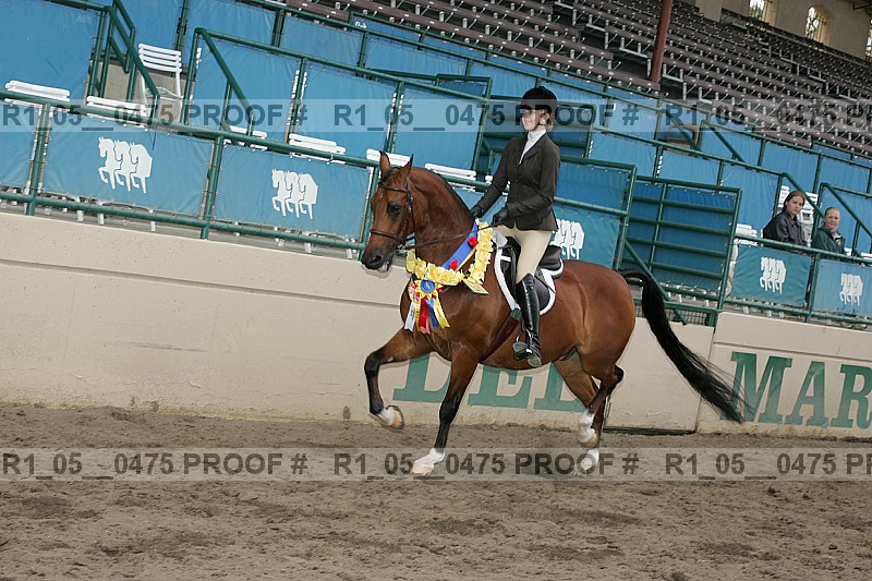 Proof r1_05__0475