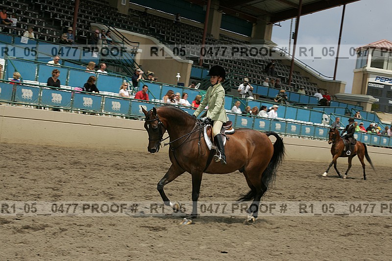 Proof r1_05__0477