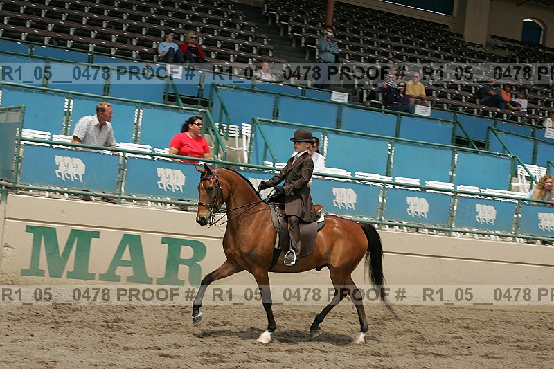 Proof r1_05__0478