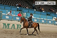 r1_05__0478 proof