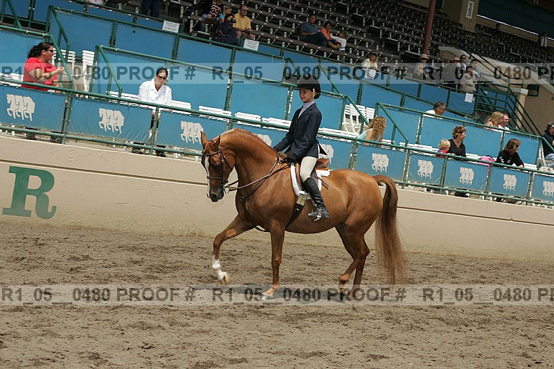 Proof r1_05__0480
