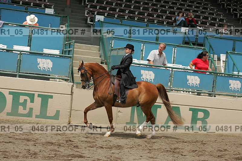 Proof r1_05__0481