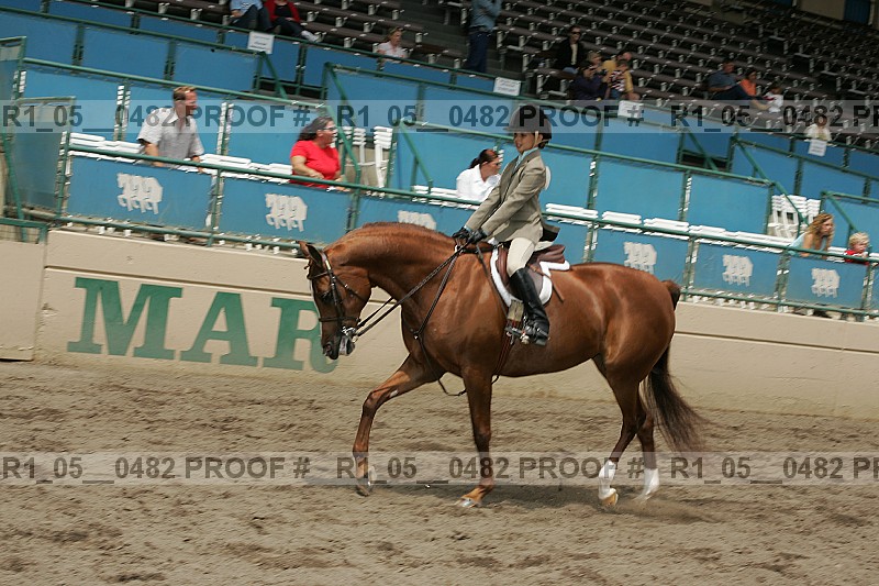 Proof r1_05__0482