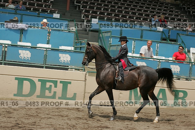 Proof r1_05__0483