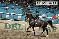r1_05__0483 proof