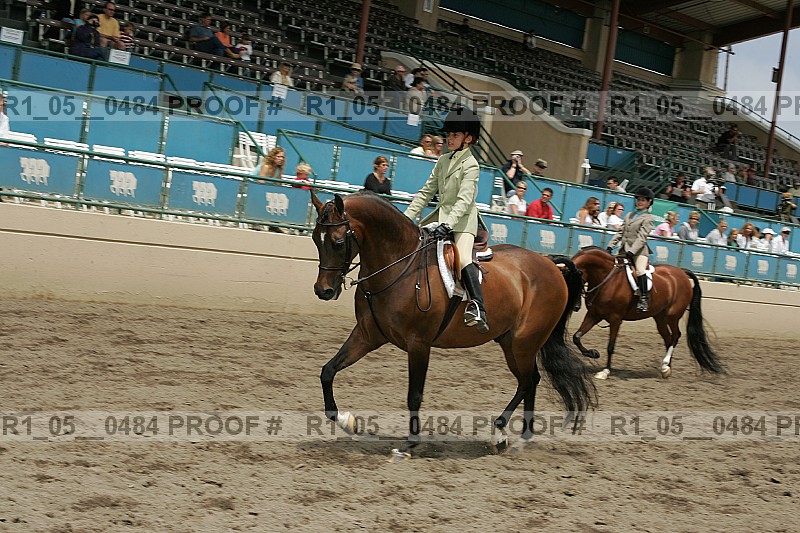 Proof r1_05__0484