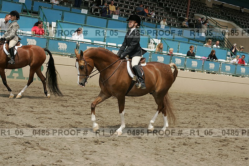 Proof r1_05__0485