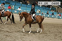 r1_05__0485 proof
