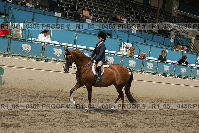 Proof r1_05__0486