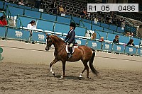 r1_05__0486 proof