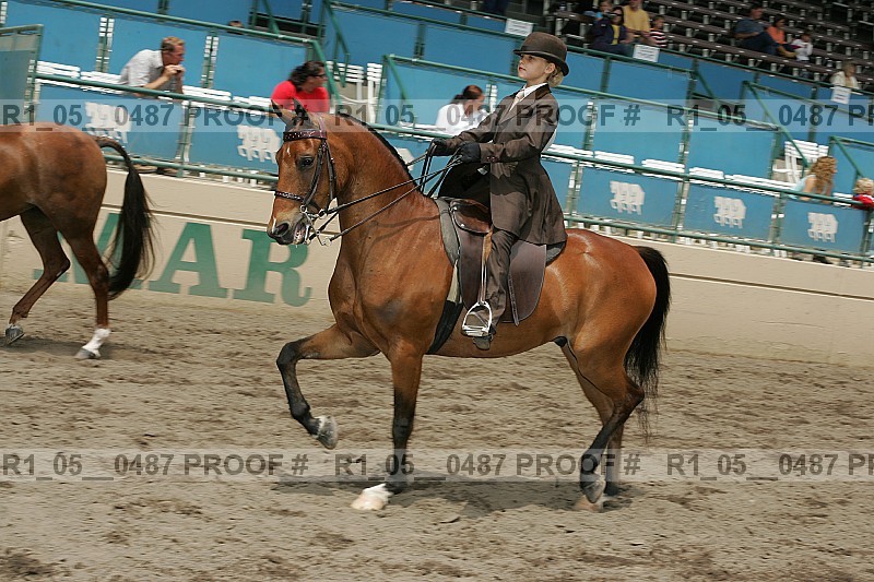 Proof r1_05__0487