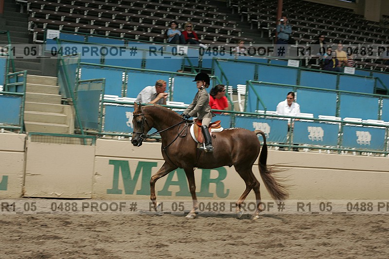 Proof r1_05__0488