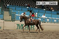 r1_05__0488 proof