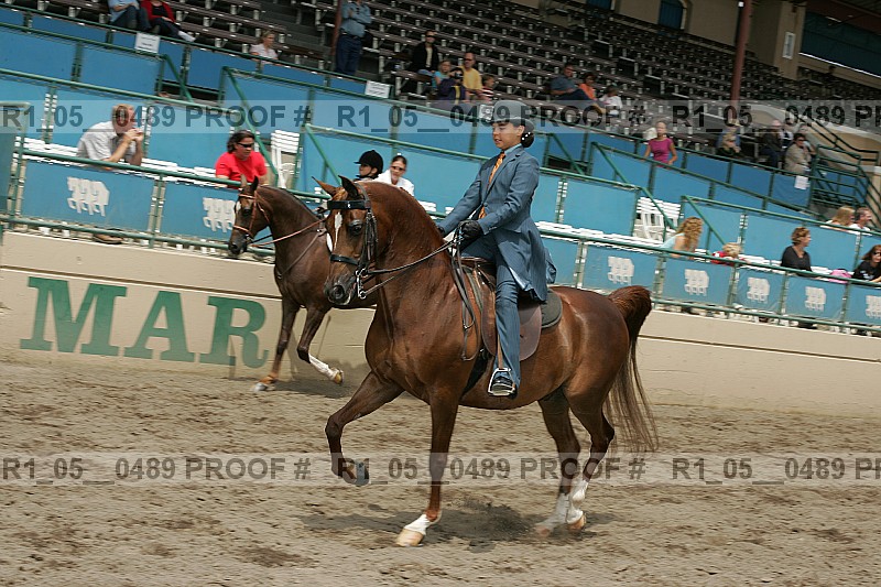 Proof r1_05__0489